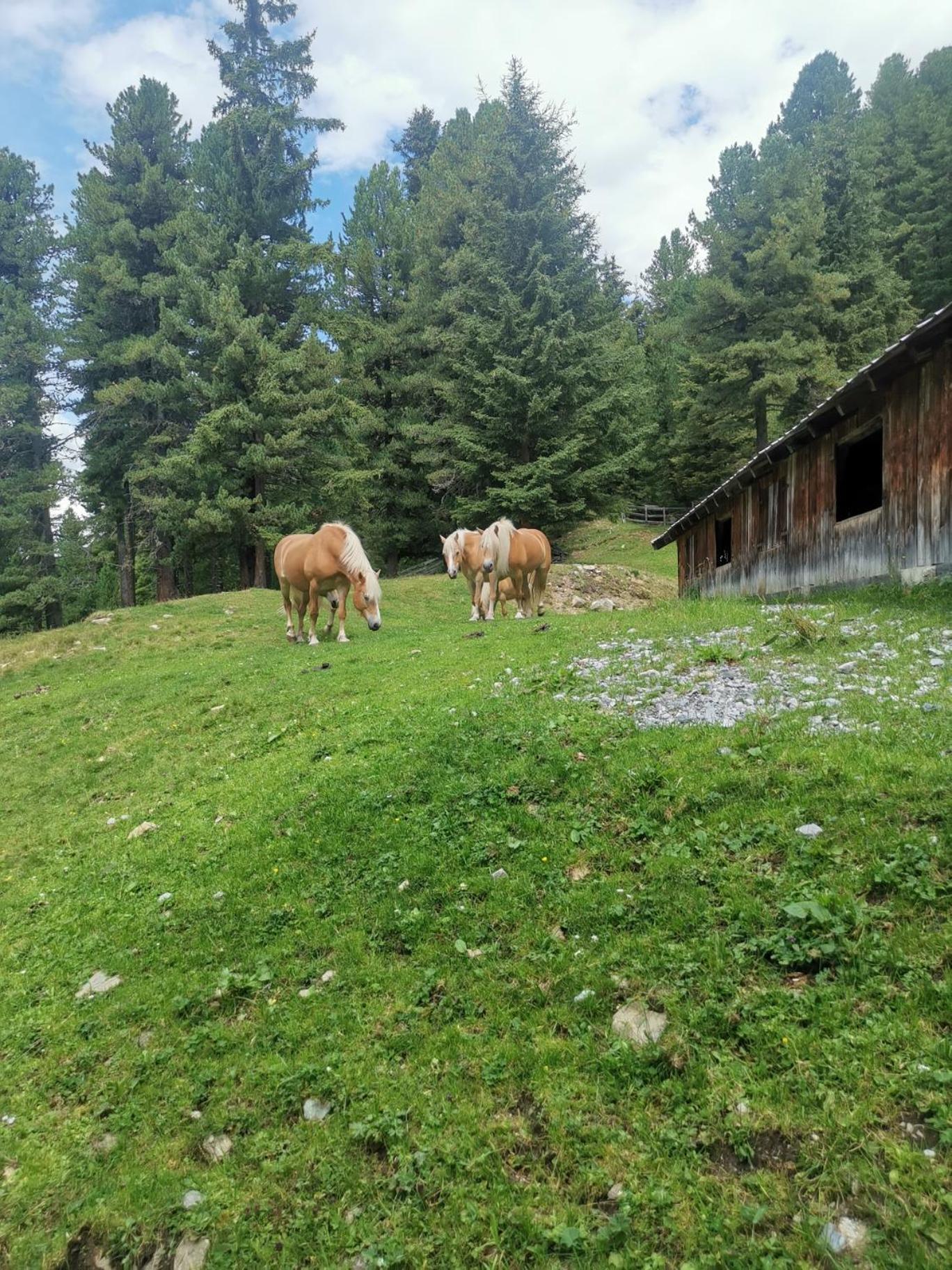 Pitztal Living Aparthotel Jerzens Exterior photo